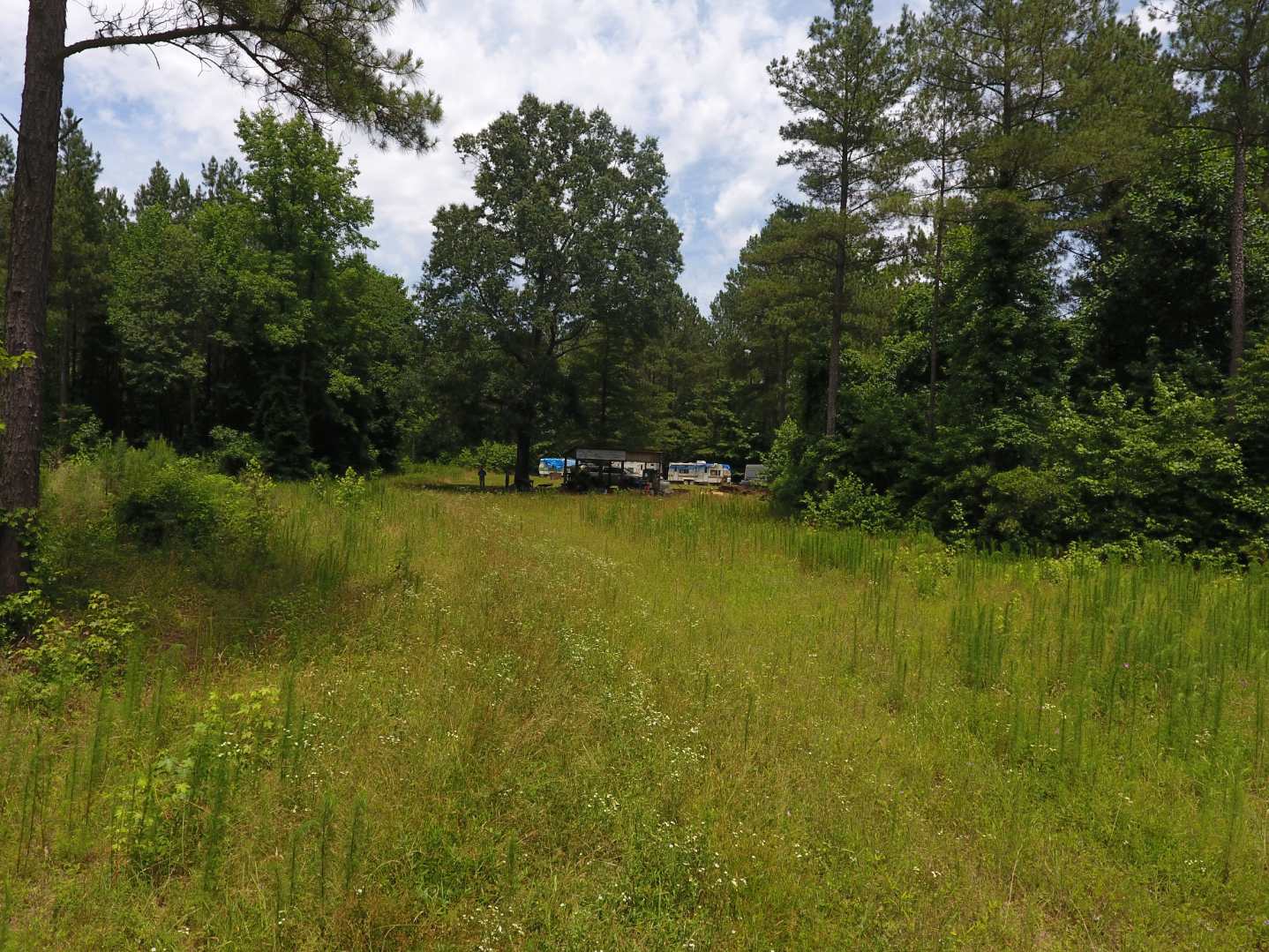 Land for Sale Sussex County VA Advance Land and Timber