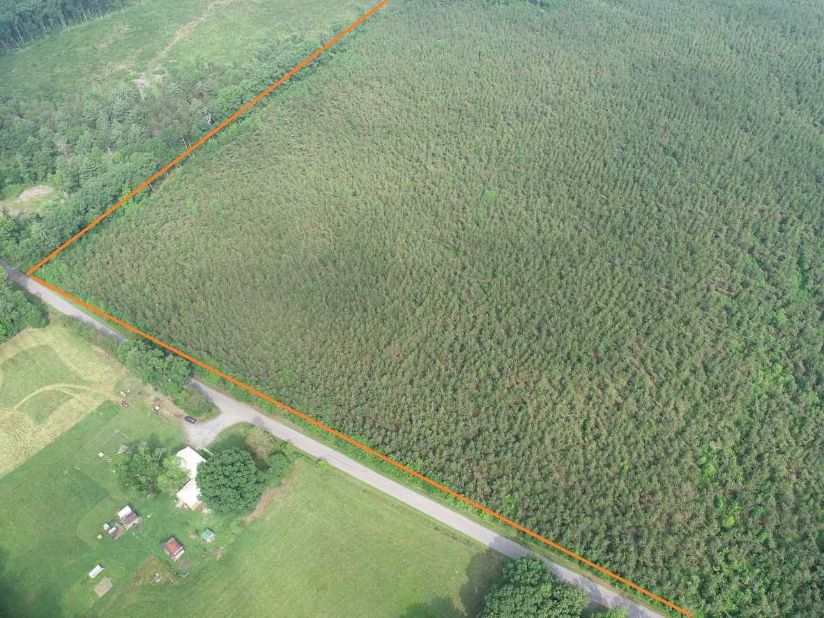 Advance Land and Timber Land for sale property_imgs/4~208.jpg