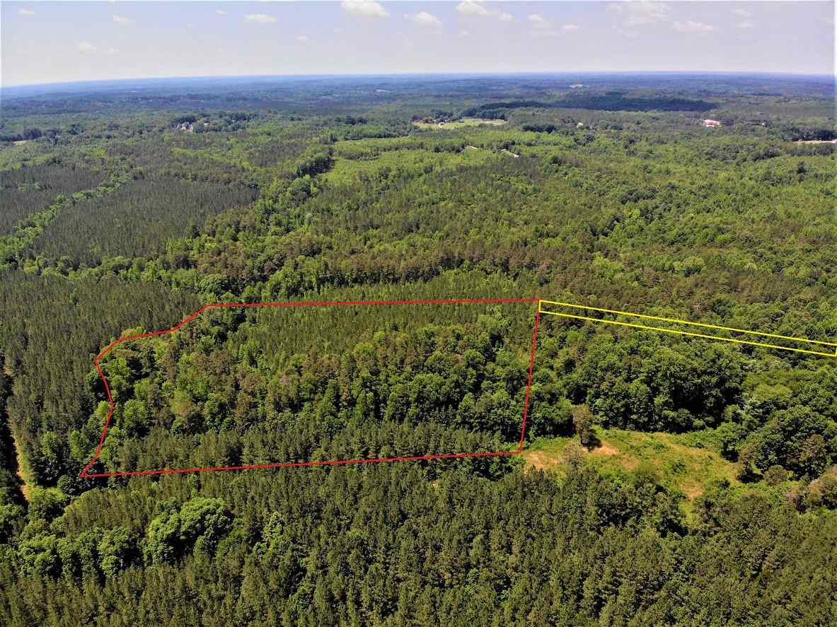 Advance Land and Timber Land for sale property_imgs/4~211.jpg