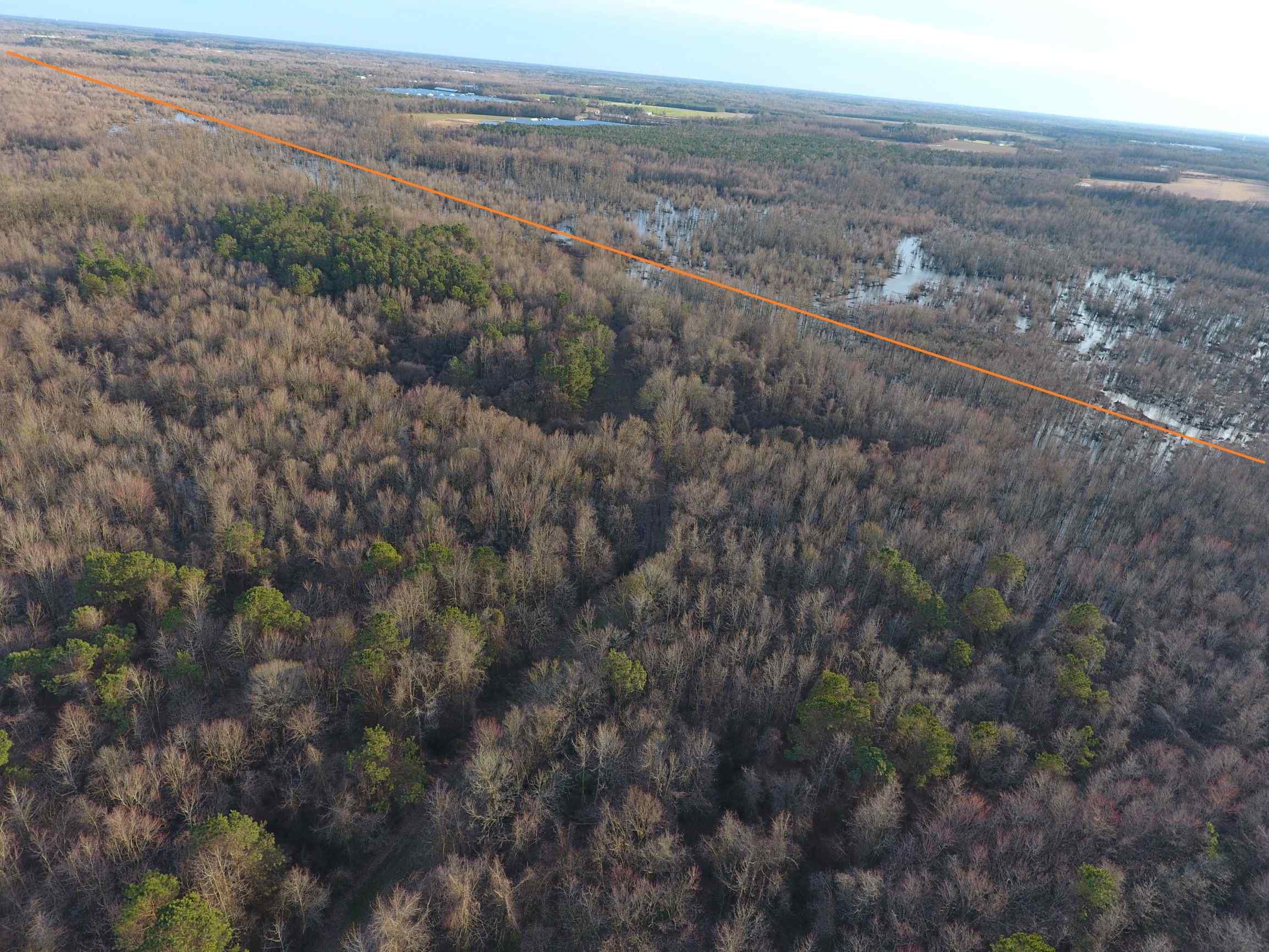 Advance Land and Timber Land for sale property_imgs/4~35.jpg