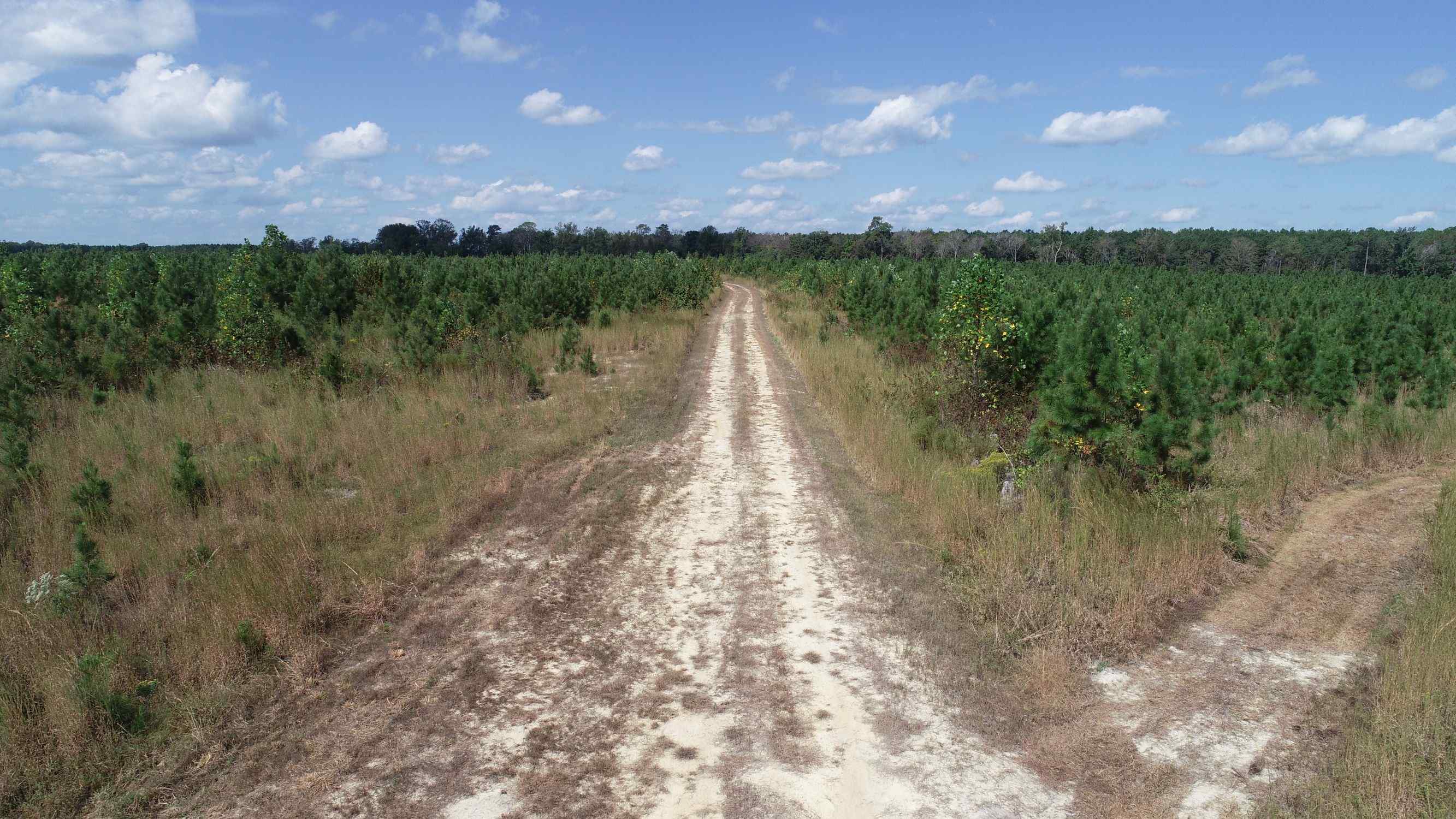 Advance Land and Timber Land for sale property_imgs/4~44.jpg