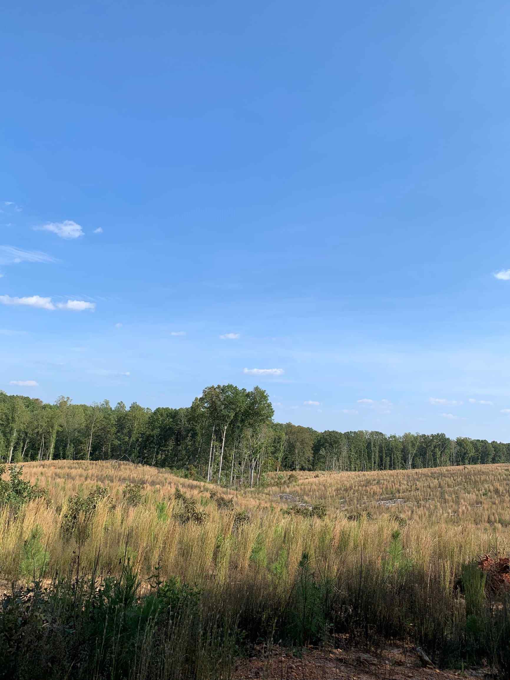 Advance Land and Timber Land for sale property_imgs/4~52.jpg