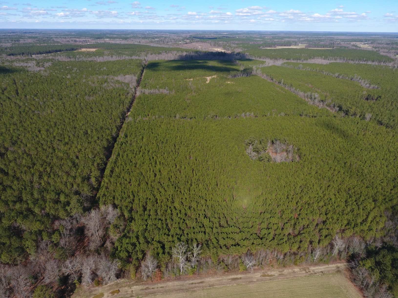 Advance Land and Timber Land for sale property_imgs/4~6.jpg