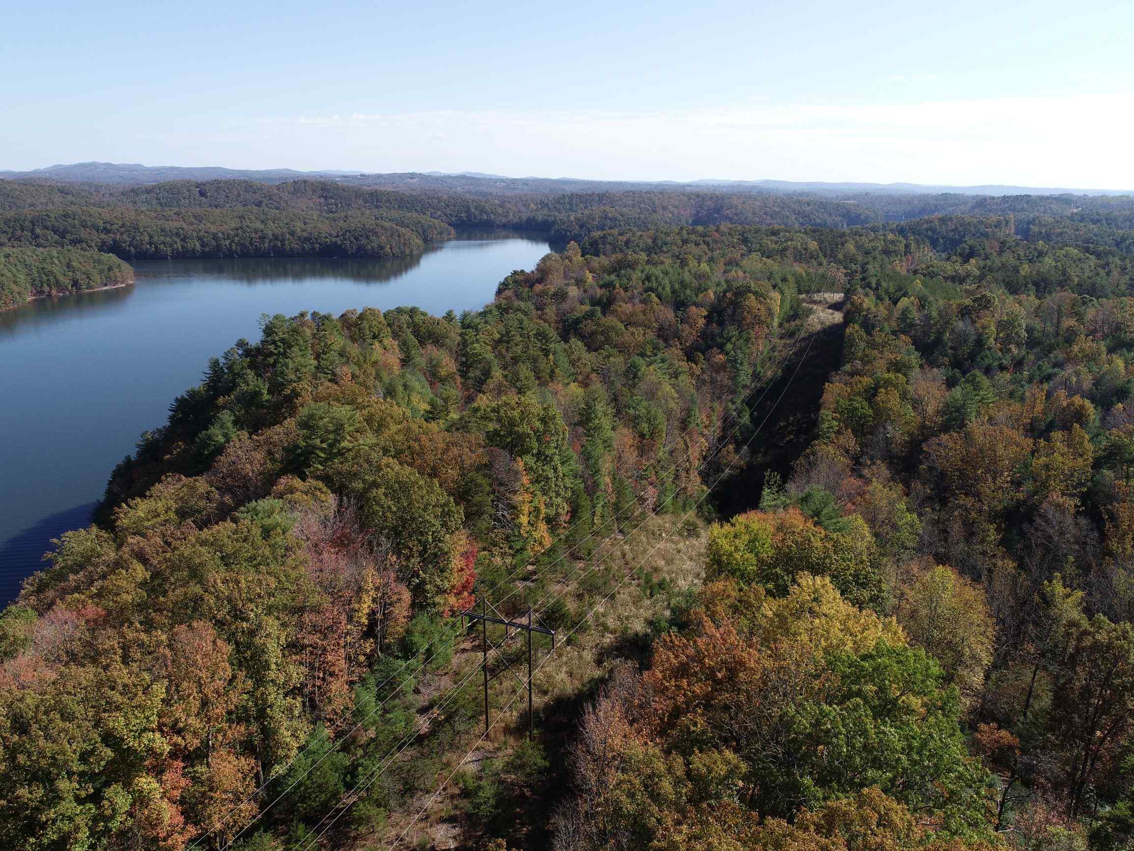 Advance Land and Timber Land for sale property_imgs/4~63.jpg