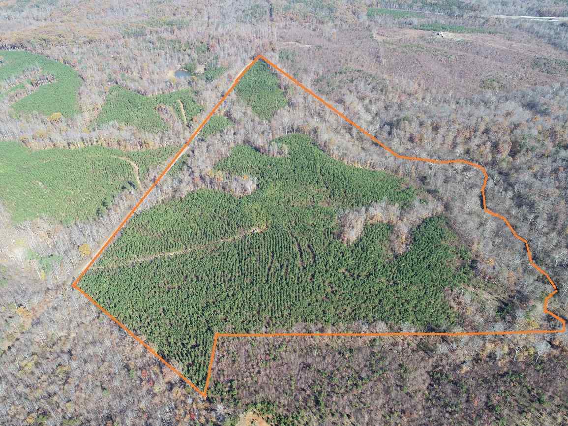 Advance Land and Timber Land for sale property_imgs/4~90.jpg