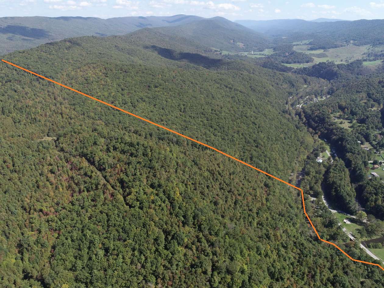 Advance Land and Timber Land for sale property_imgs/4~98.jpg