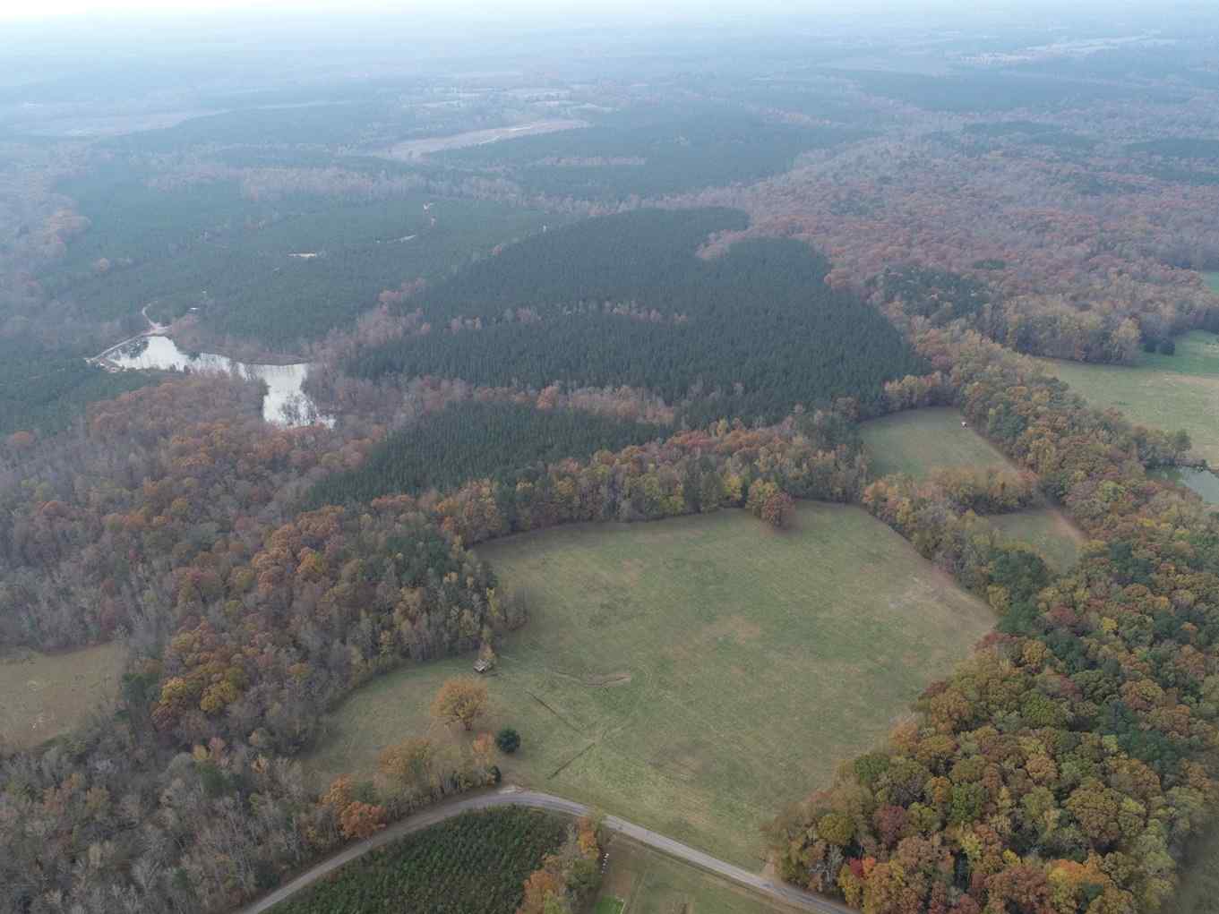 91.28 Acres of land for sale in Dinwiddie Virginia Advance Land and