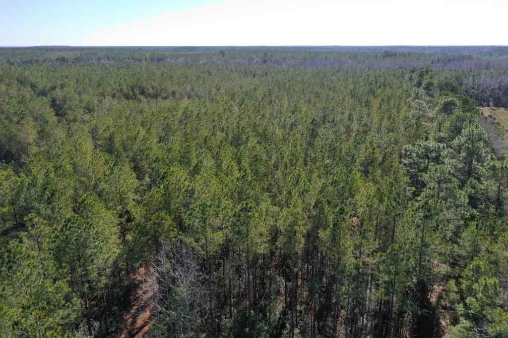 Advance Land and Timber Land for sale property_imgs/5212.jpg