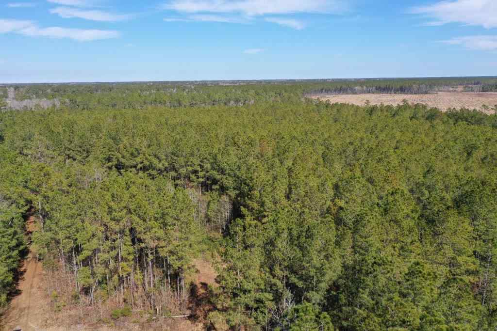 Advance Land and Timber Land for sale property_imgs/5213.jpg