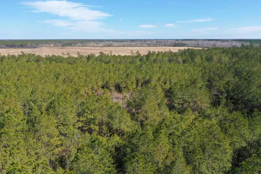Advance Land and Timber Land for sale property_imgs/5214.jpg