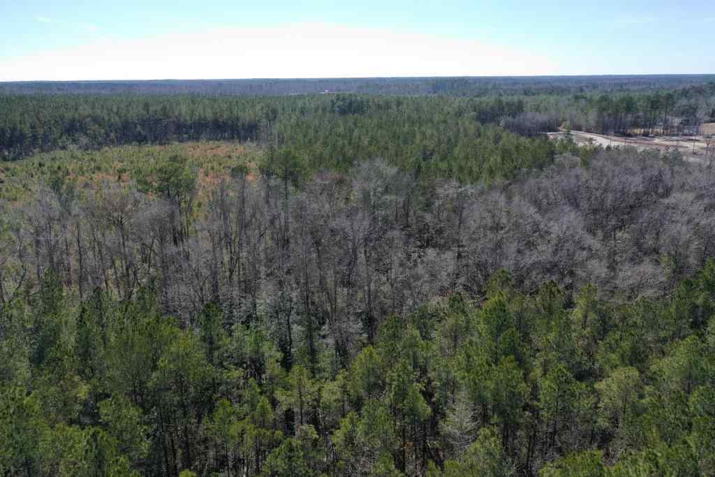 Advance Land and Timber Land for sale property_imgs/5216.jpg