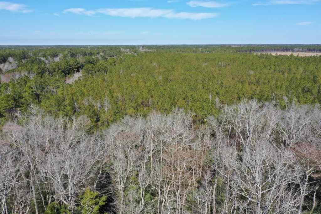 Advance Land and Timber Land for sale property_imgs/5217.jpg