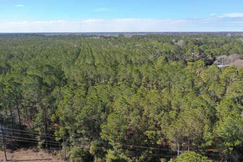 Advance Land and Timber Land for sale property_imgs/5218.jpg