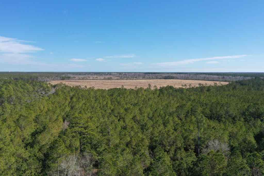Advance Land and Timber Land for sale property_imgs/5219.jpg