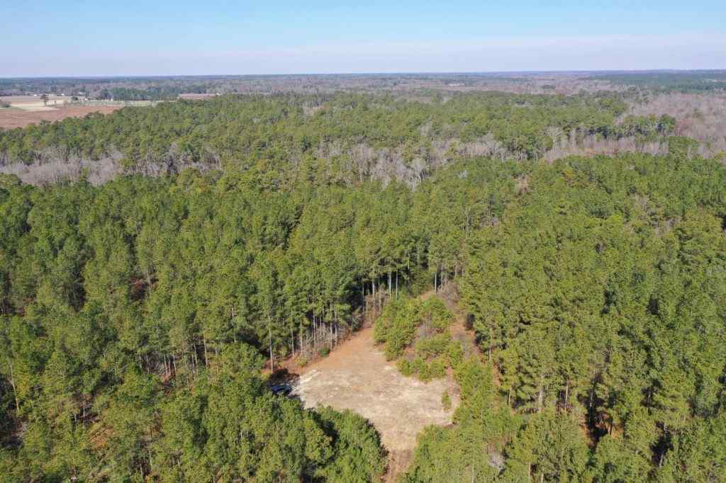 Advance Land and Timber Land for sale property_imgs/521_12.jpg