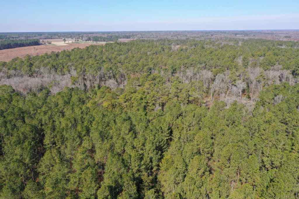 Advance Land and Timber Land for sale property_imgs/521_13.jpg