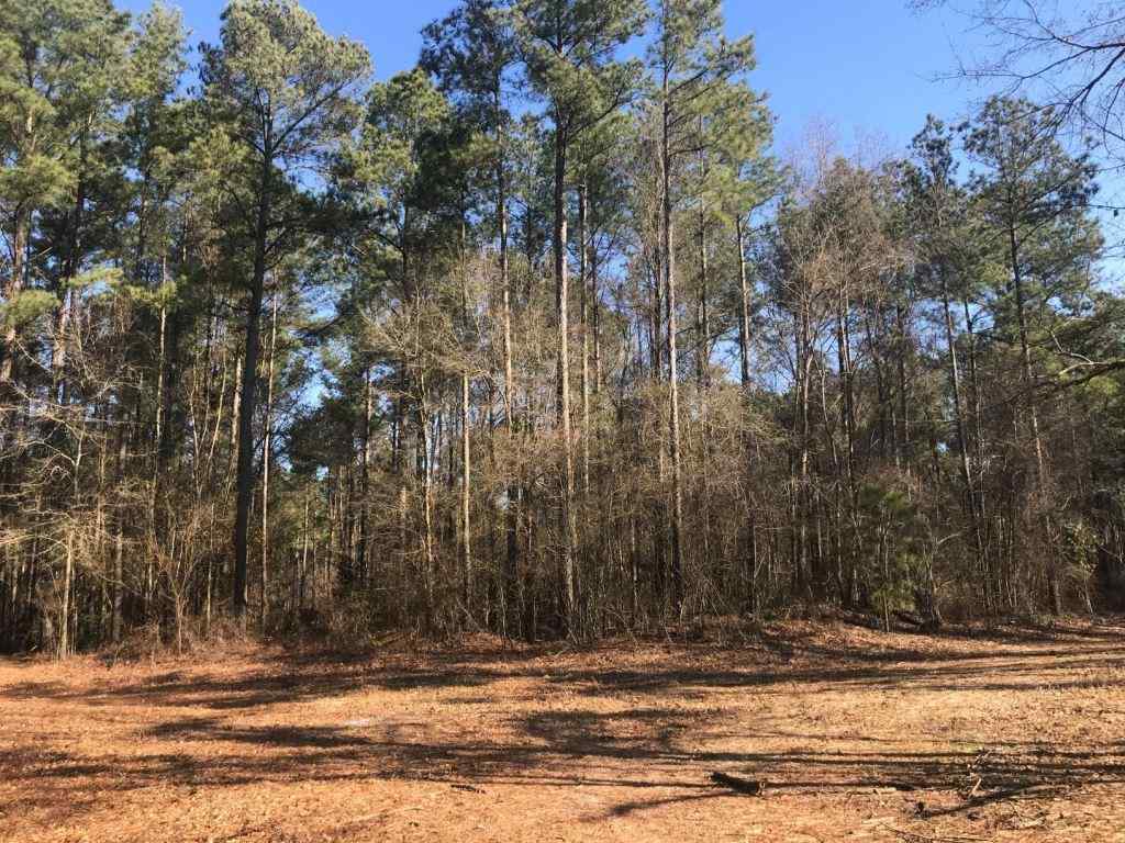 Advance Land and Timber Land for sale property_imgs/521_15.jpg