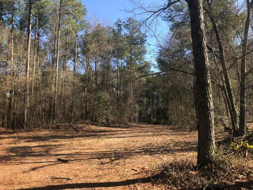 Advance Land and Timber Land for sale property_imgs/521_16.jpg