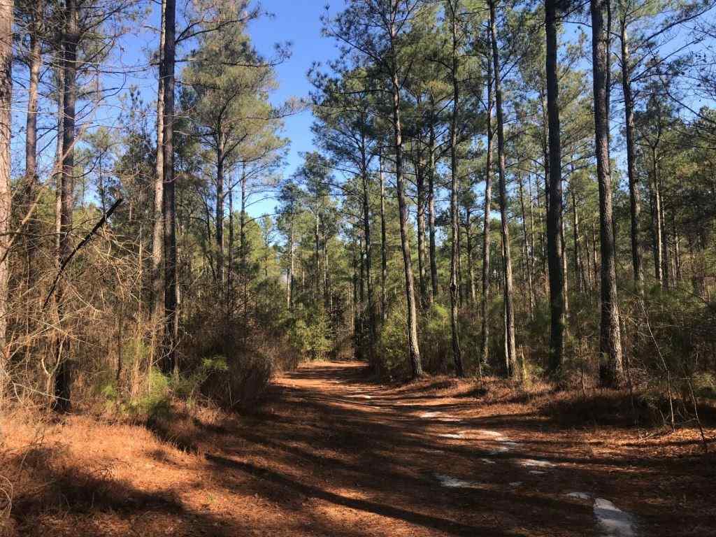 Advance Land and Timber Land for sale property_imgs/521_17.jpg