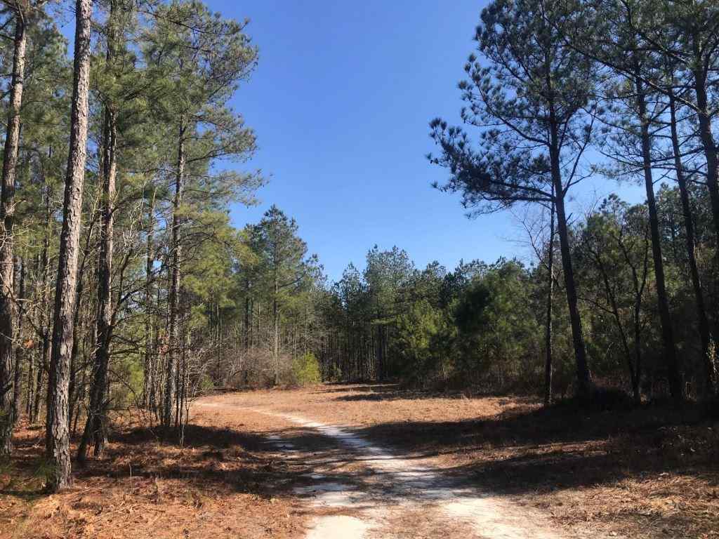 Advance Land and Timber Land for sale property_imgs/521_18.jpg