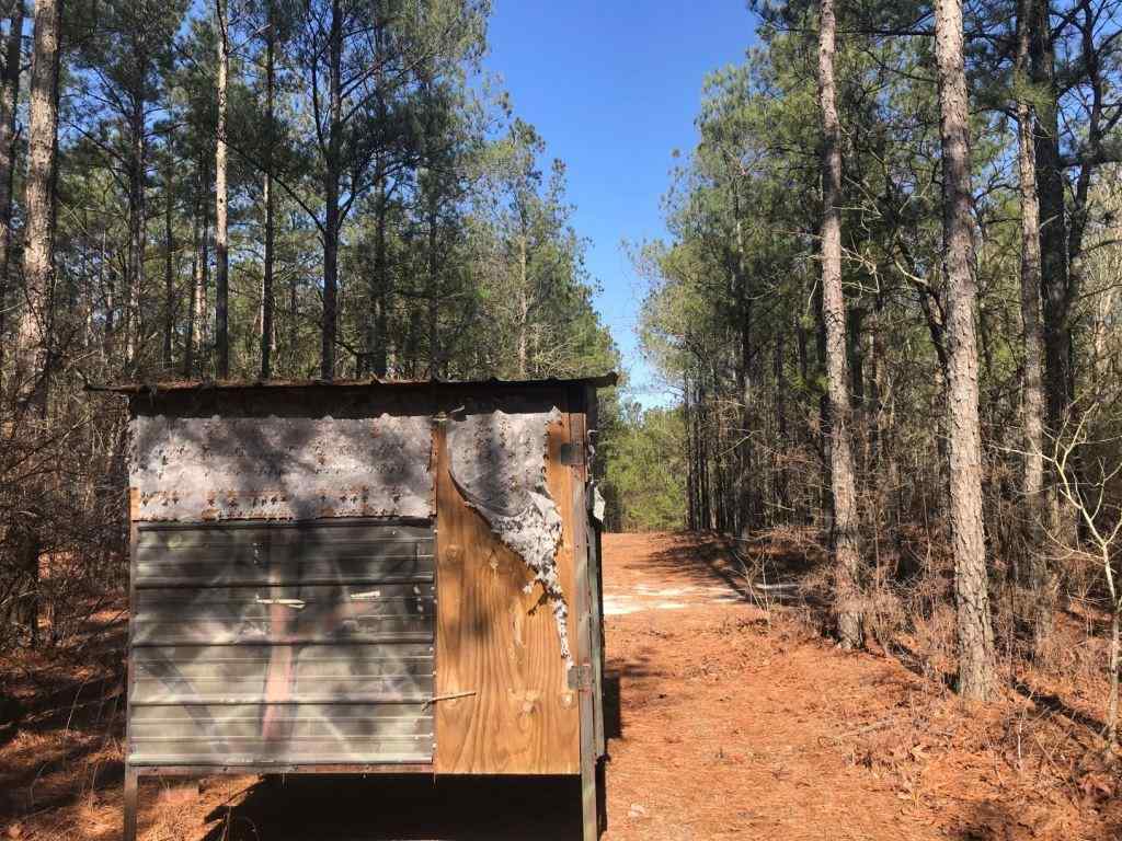 Advance Land and Timber Land for sale property_imgs/521_19.jpg
