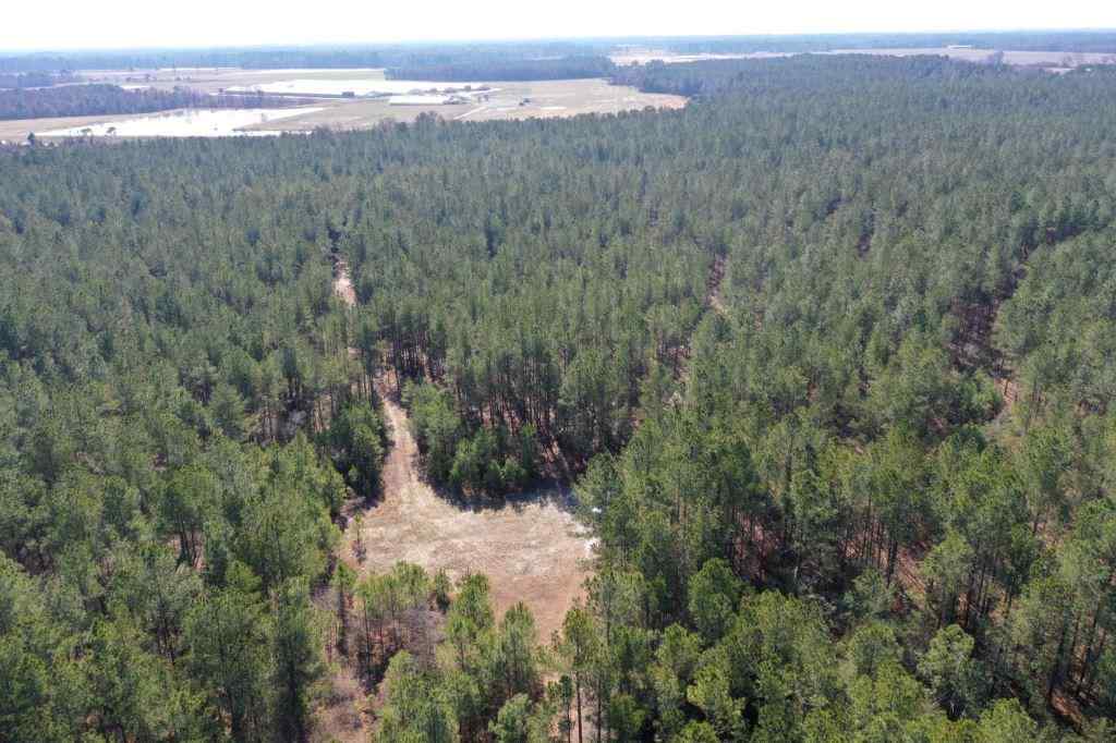 Advance Land and Timber Land for sale property_imgs/521_1~0.jpg