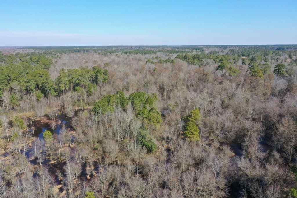 Advance Land and Timber Land for sale property_imgs/521_3.jpg