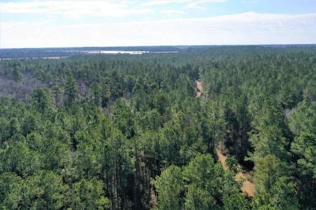 Advance Land and Timber Land for sale property_imgs/521_4.jpg