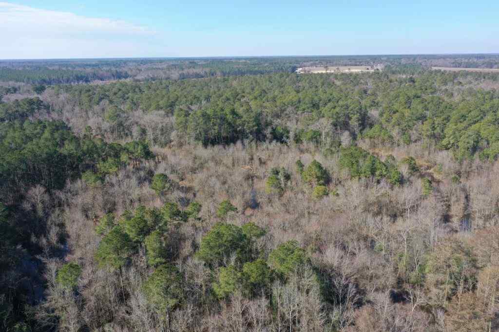 Advance Land and Timber Land for sale property_imgs/521_6.jpg