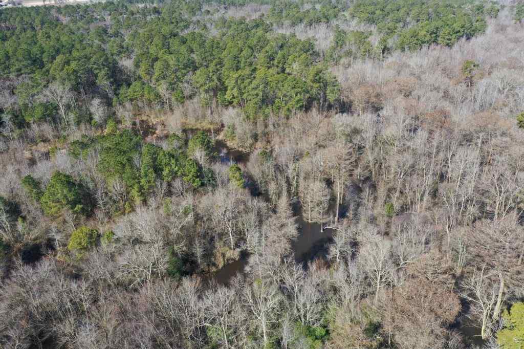 Advance Land and Timber Land for sale property_imgs/521_7.jpg
