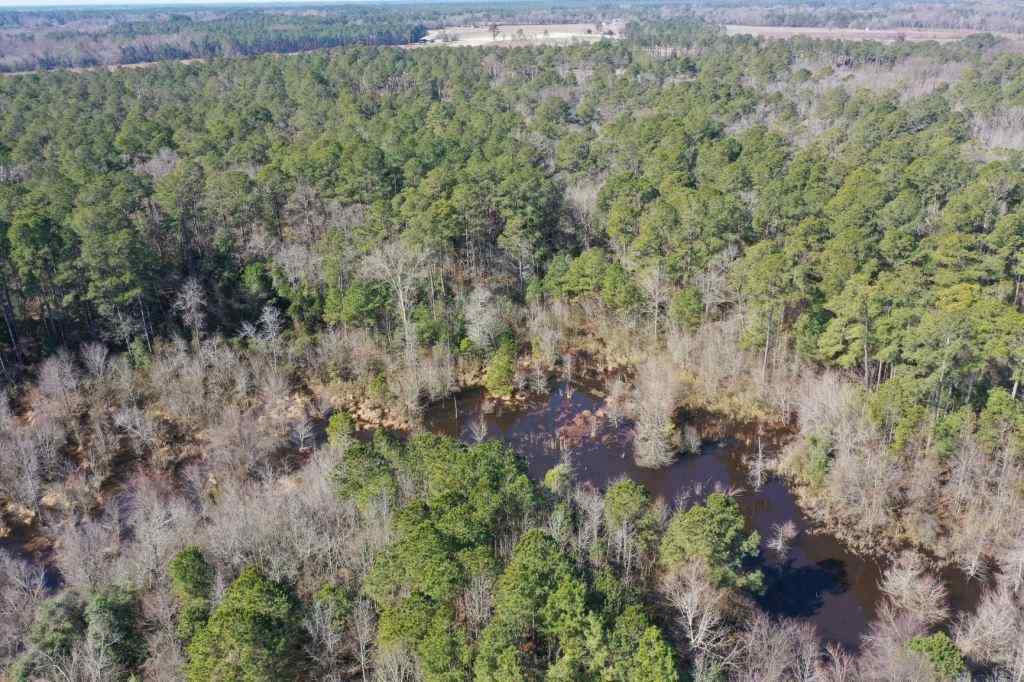 Advance Land and Timber Land for sale property_imgs/521_8.jpg