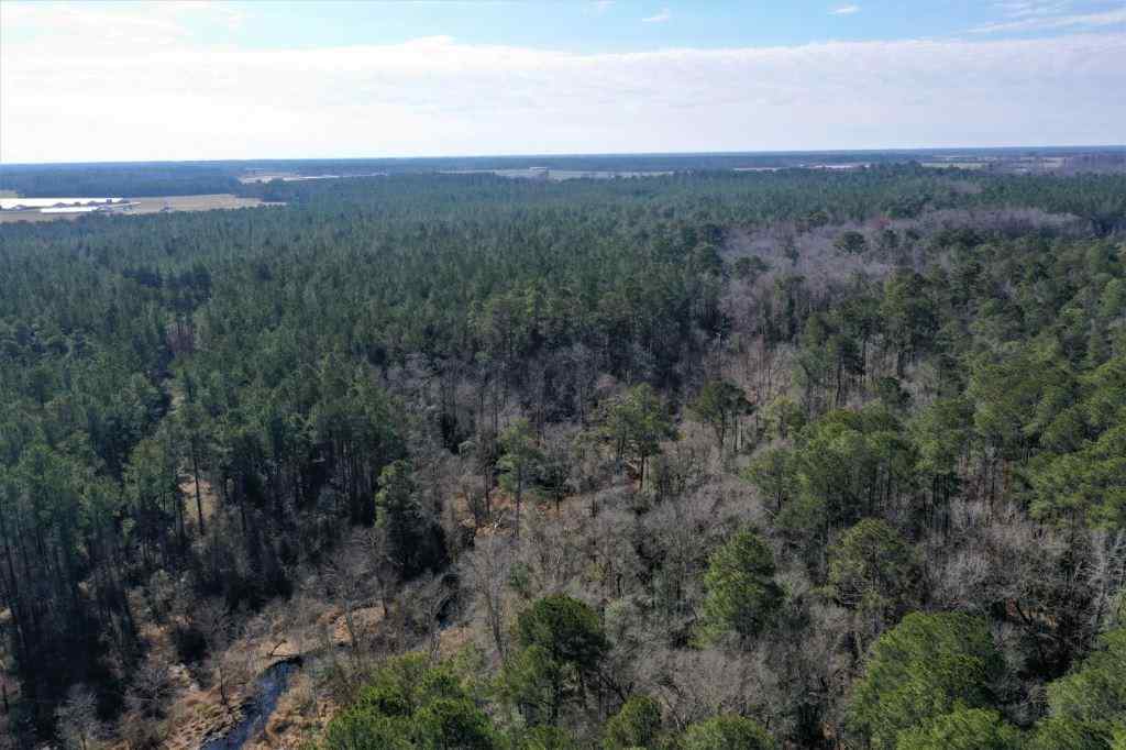 Advance Land and Timber Land for sale property_imgs/521_9.jpg
