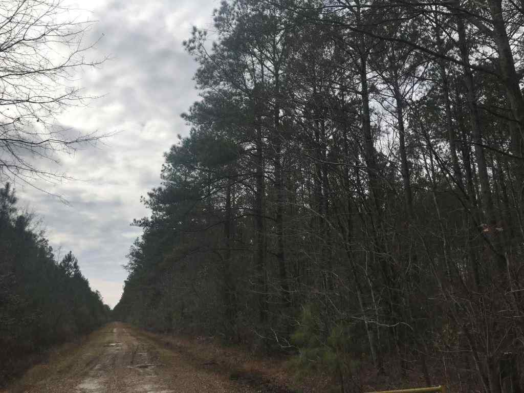 Advance Land and Timber Land for sale property_imgs/522_1~0.jpg