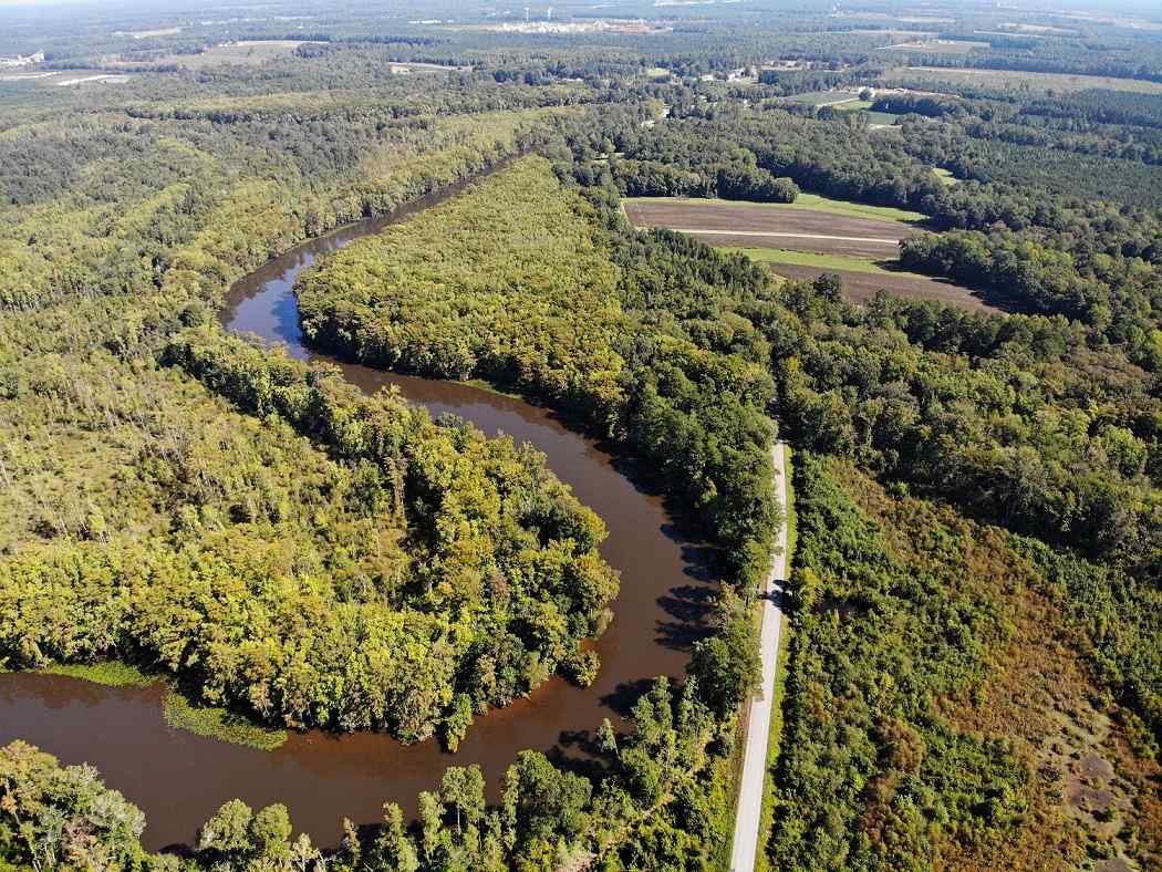 165 +/ Acres of land for sale in Brunswick County, Virginia Advance Land and Timber