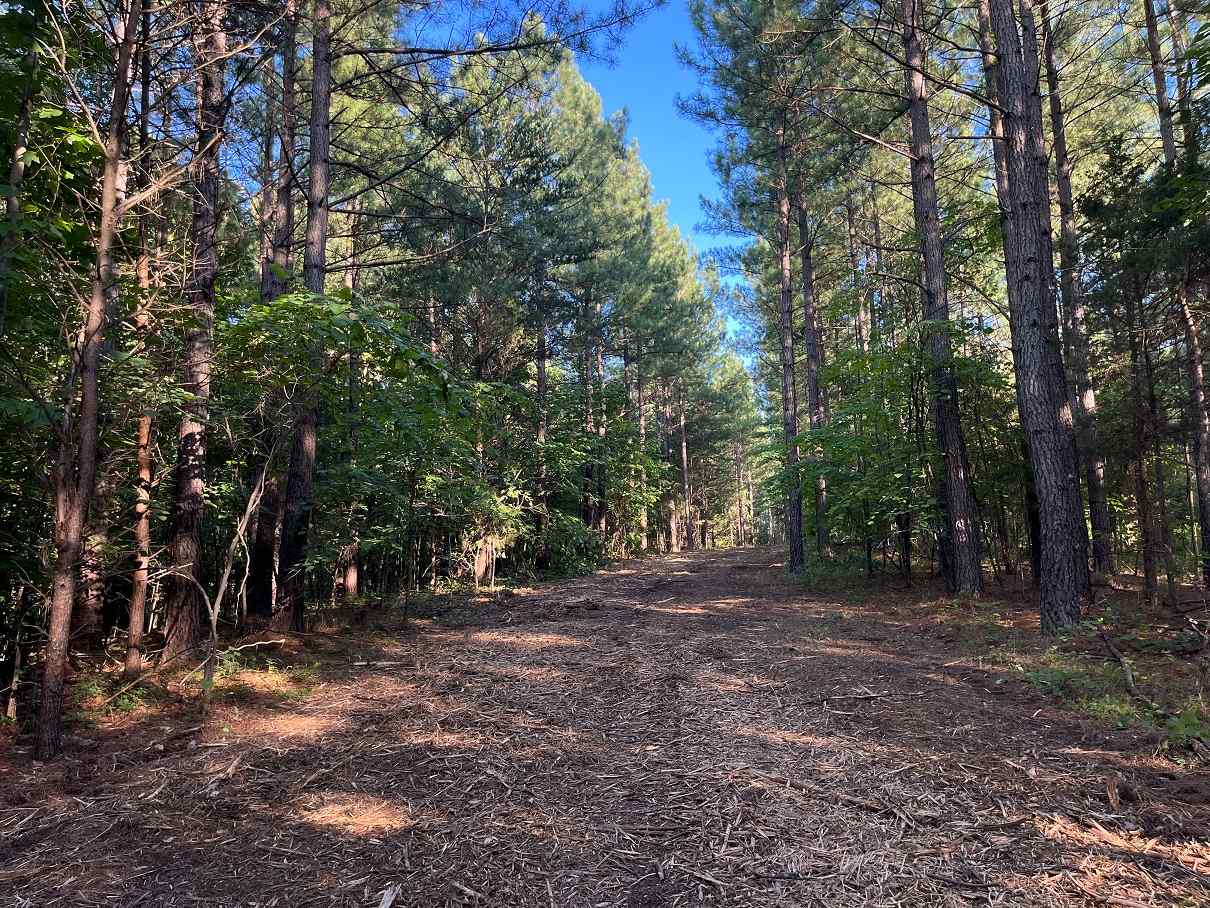 Advance Land and Timber Land for sale property_imgs/56d326d8139f904b679084778f1b3285_1857.jpg