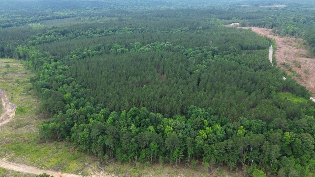 Advance Land and Timber Land for sale property_imgs/580f9aa264f1108da3db844806f3952e_2290.jpg