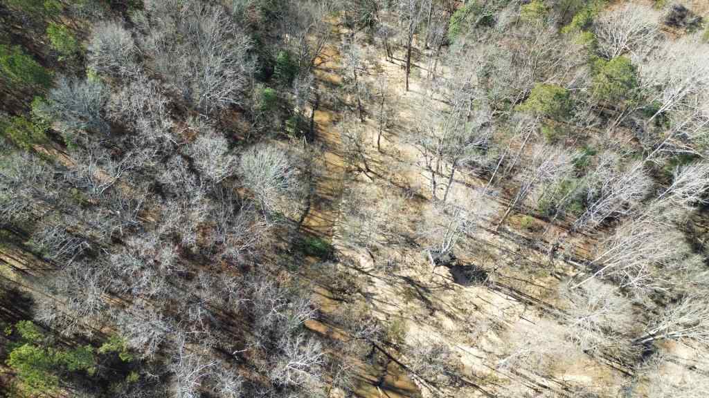 Abbeville County South Carolina Land for Sale