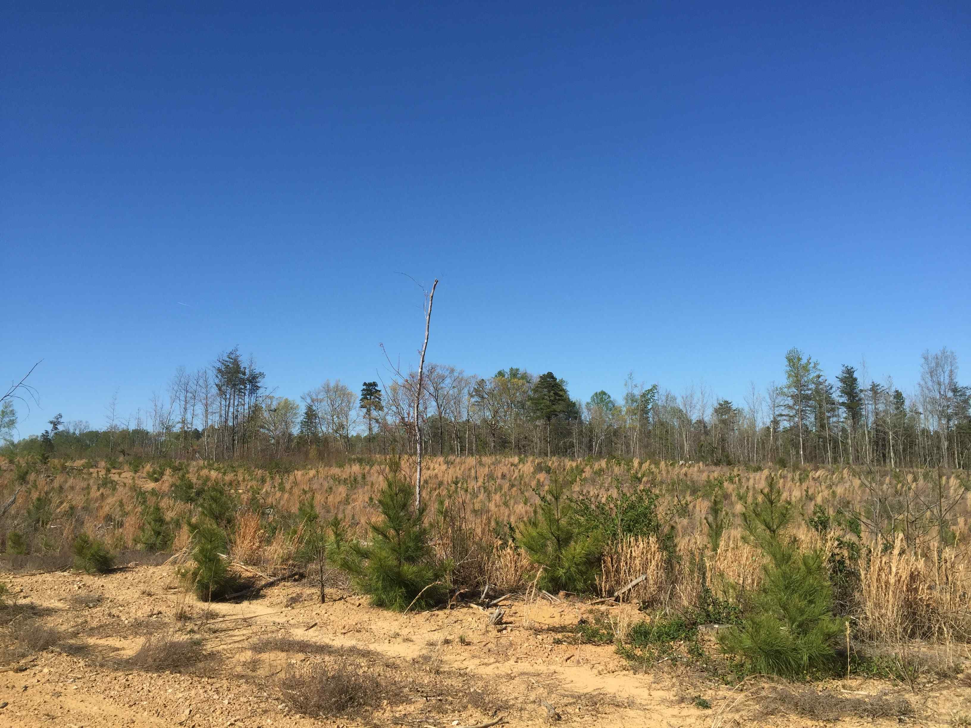 Lunenburg County Virginia Land for Sale