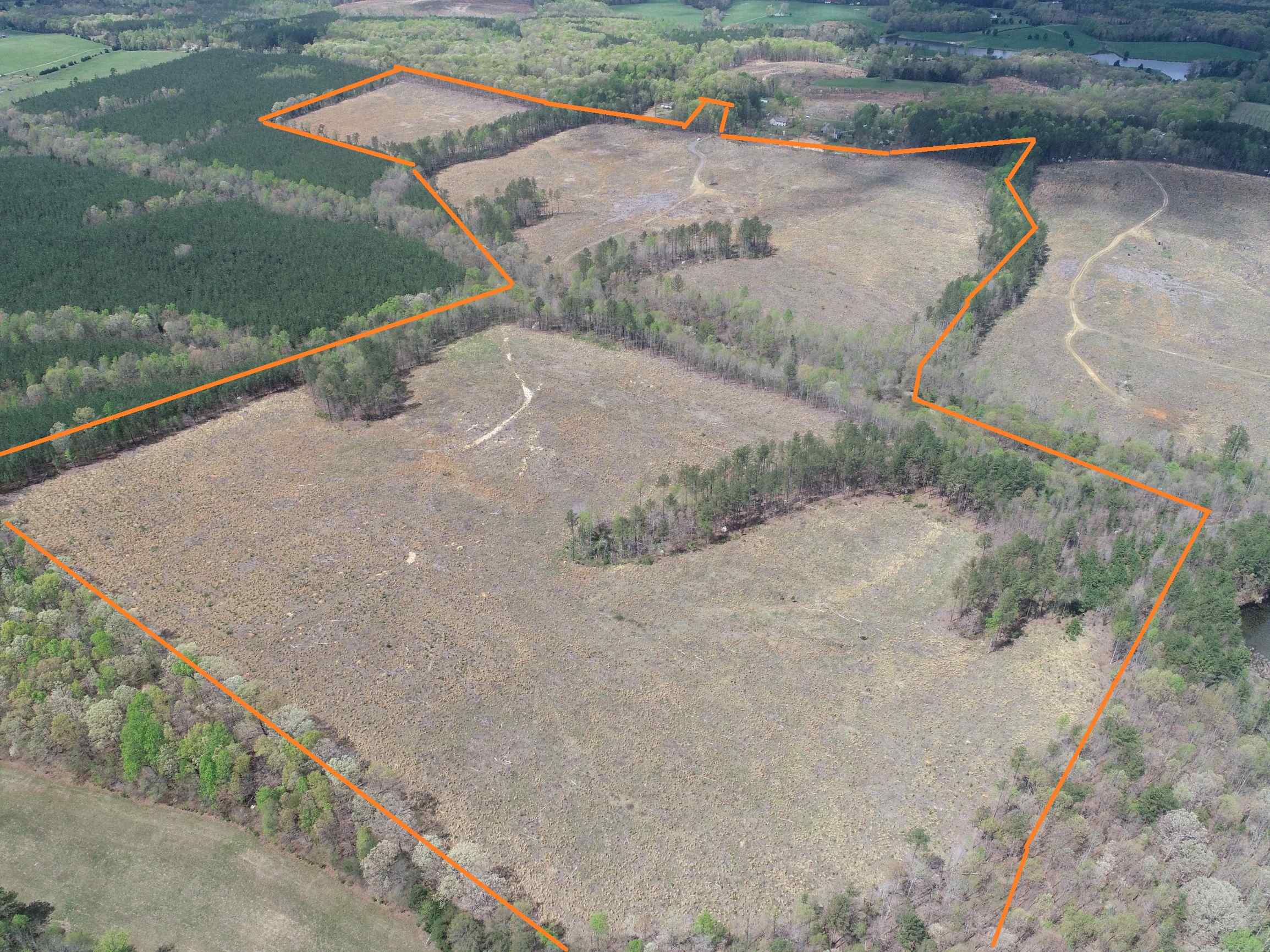 Advance Land and Timber Land for sale property_imgs/5~120.jpg