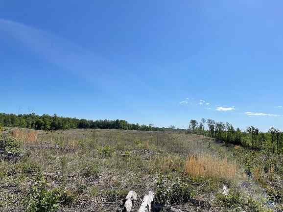 Advance Land and Timber Land for sale property_imgs/5~127.jpg