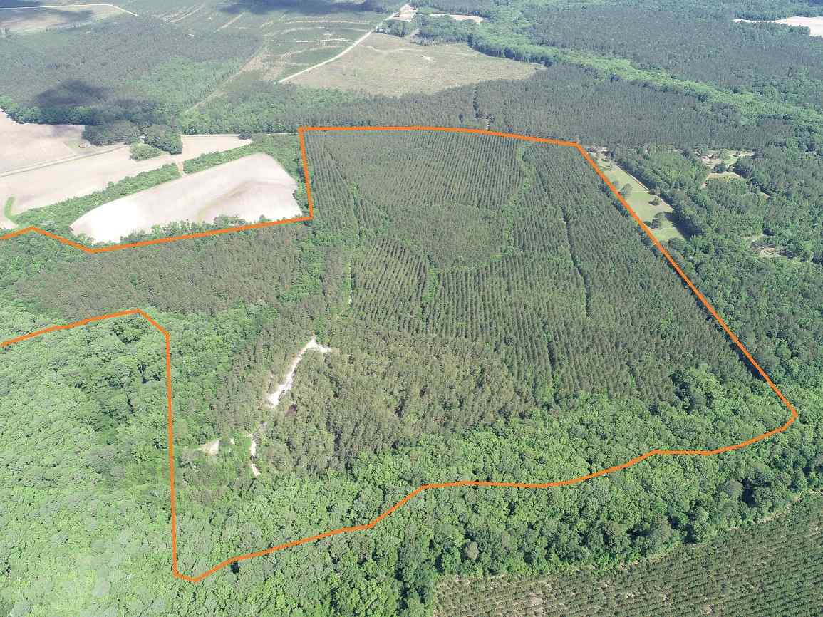 Advance Land and Timber Land for sale property_imgs/5~130.jpg