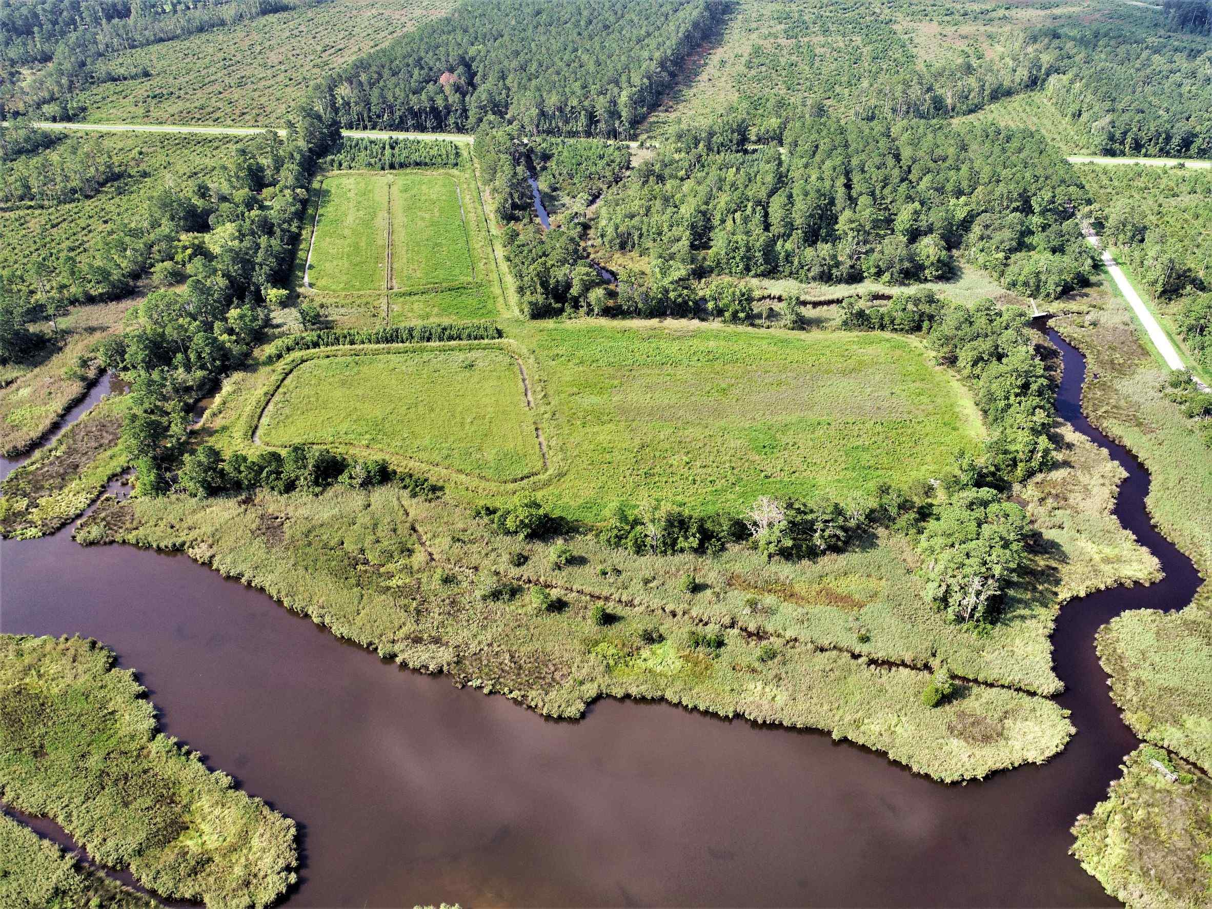 Advance Land and Timber Land for sale property_imgs/5~133.jpg