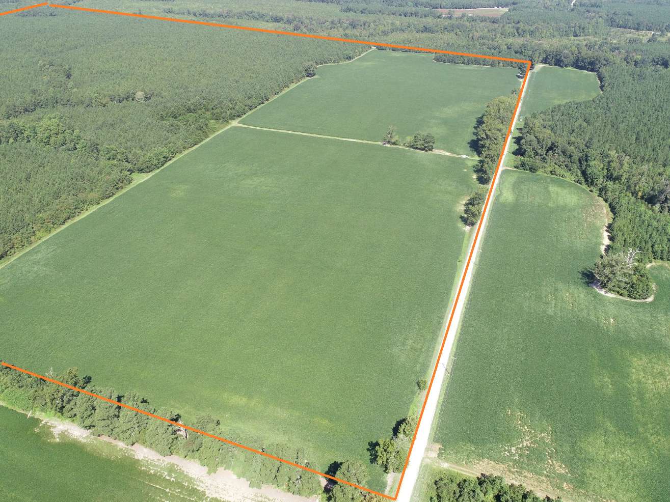 Advance Land and Timber Land for sale property_imgs/5~137.jpg