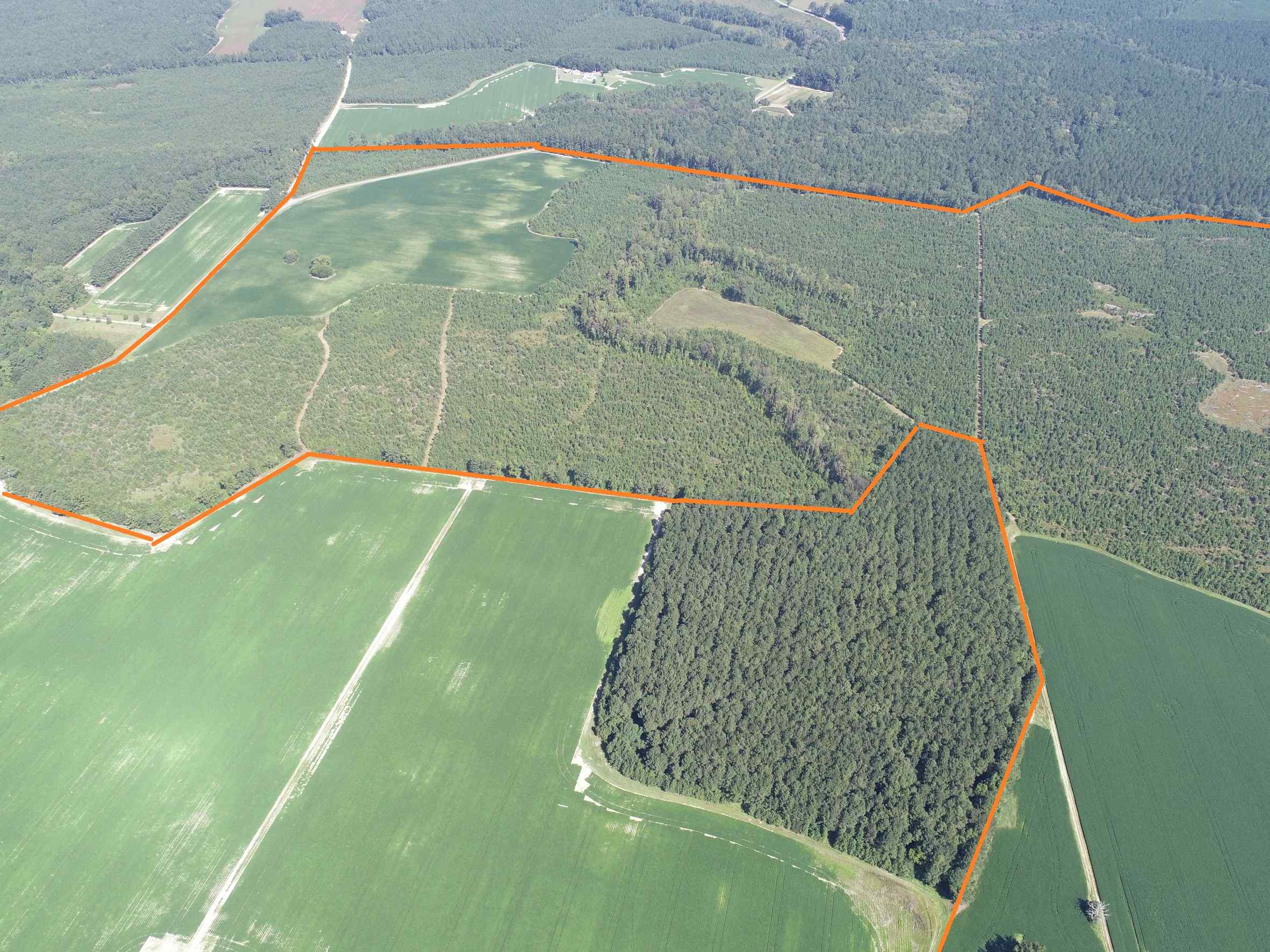 Advance Land and Timber Land for sale property_imgs/5~138.jpg