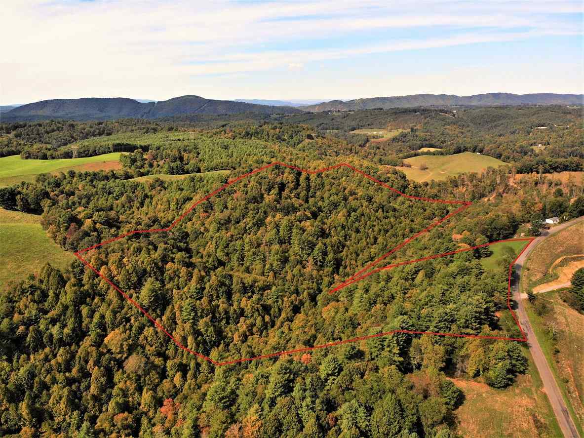 Advance Land and Timber Land for sale property_imgs/5~139.jpg