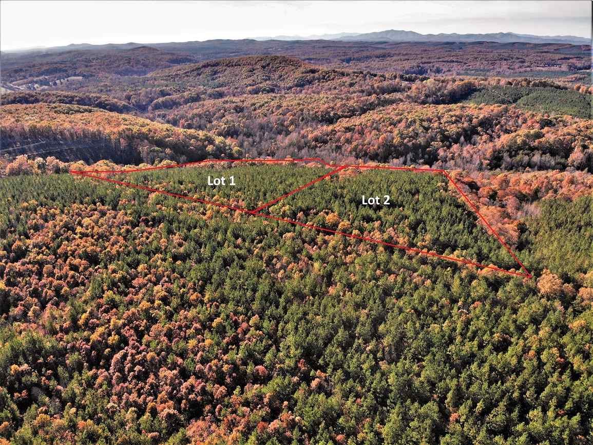 Advance Land and Timber Land for sale property_imgs/5~141.jpg