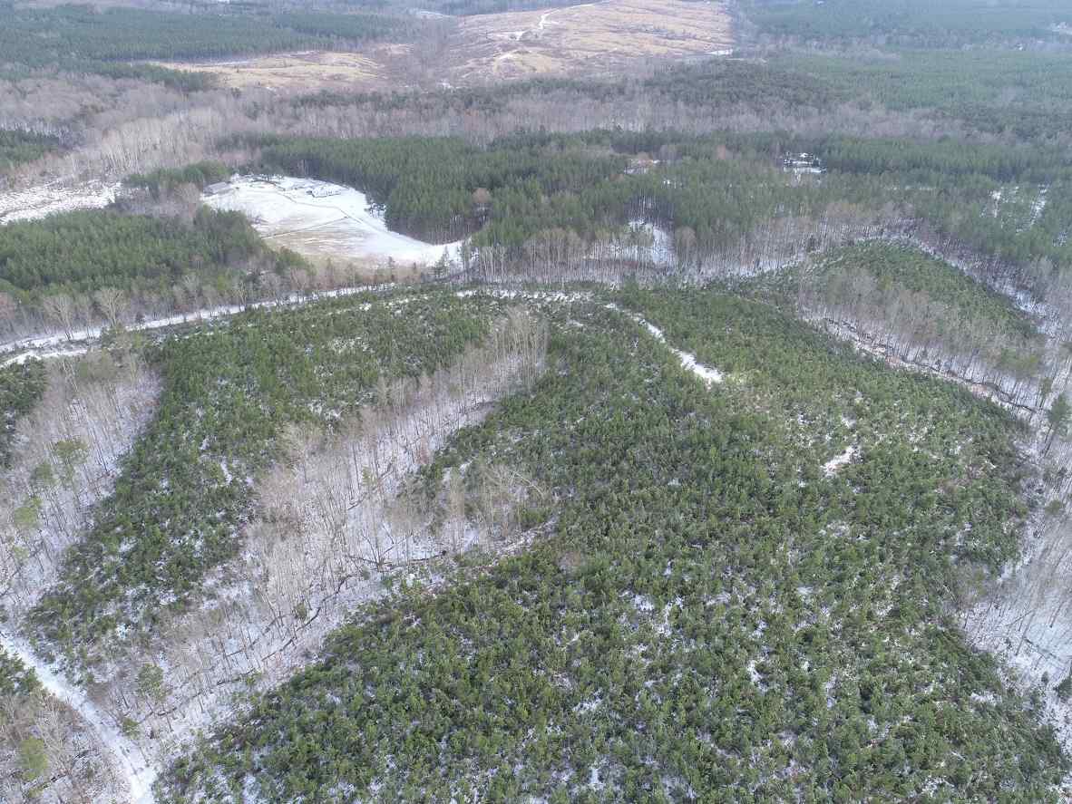 Advance Land and Timber Land for sale property_imgs/5~145.jpg