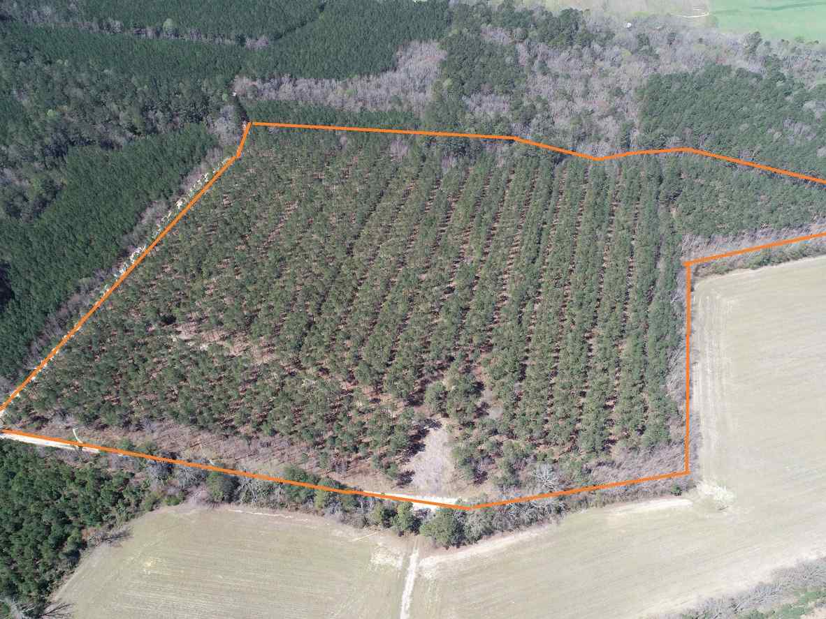 Advance Land and Timber Land for sale property_imgs/5~164.jpg