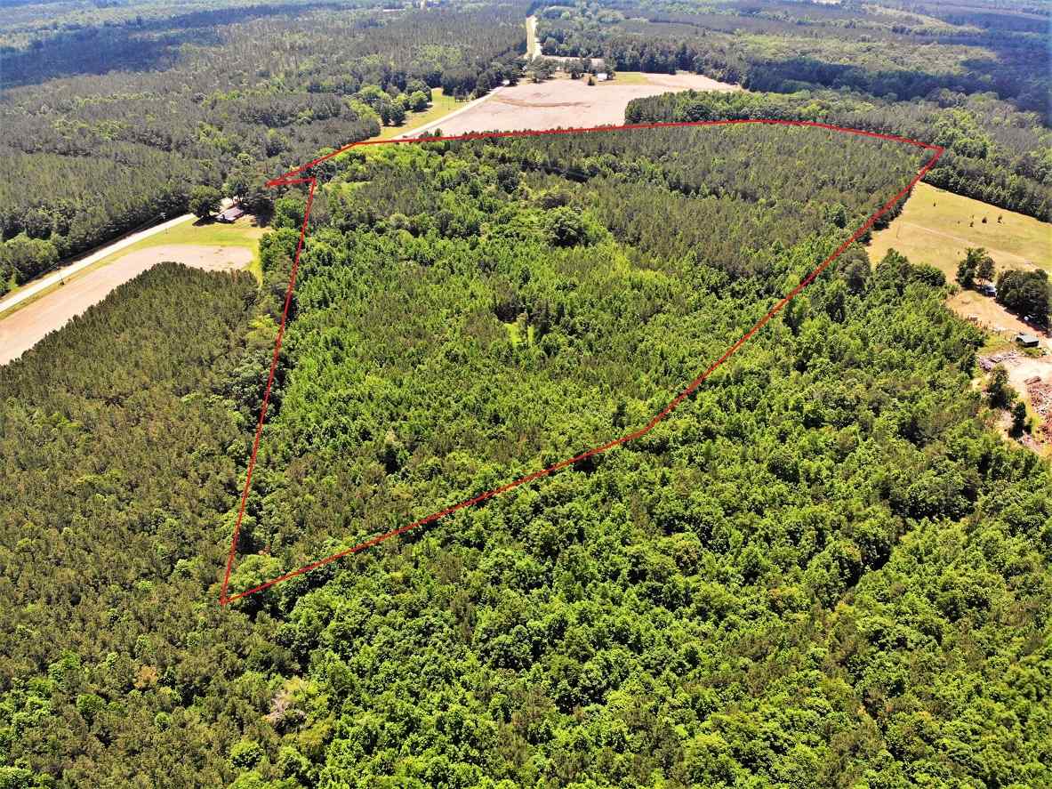 Advance Land and Timber Land for sale property_imgs/5~198.jpg