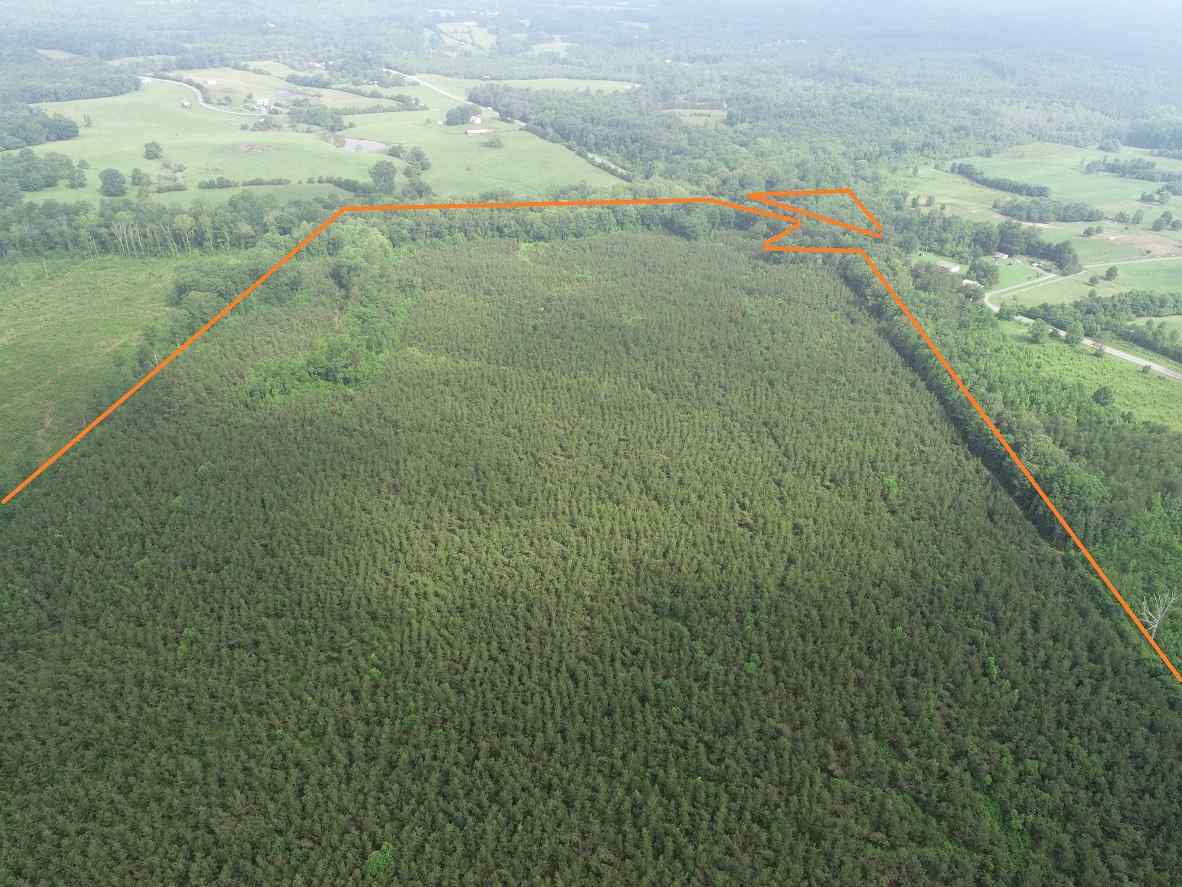 Advance Land and Timber Land for sale property_imgs/5~200.jpg